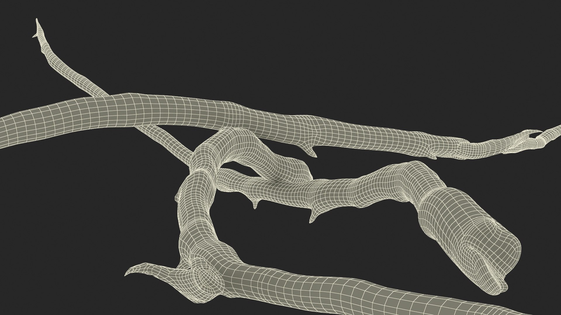Dry Branch 3D model https://p.turbosquid.com/ts-thumb/gN/IRAt9e/ZJ/drybranch3dsmodel017/jpg/1724922132/1920x1080/fit_q87/f17dc79189123a96f8cc1a167b75b860f2d438cf/drybranch3dsmodel017.jpg