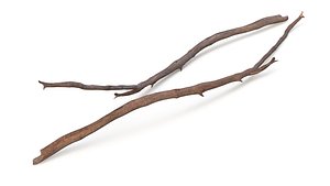 Dry Branch