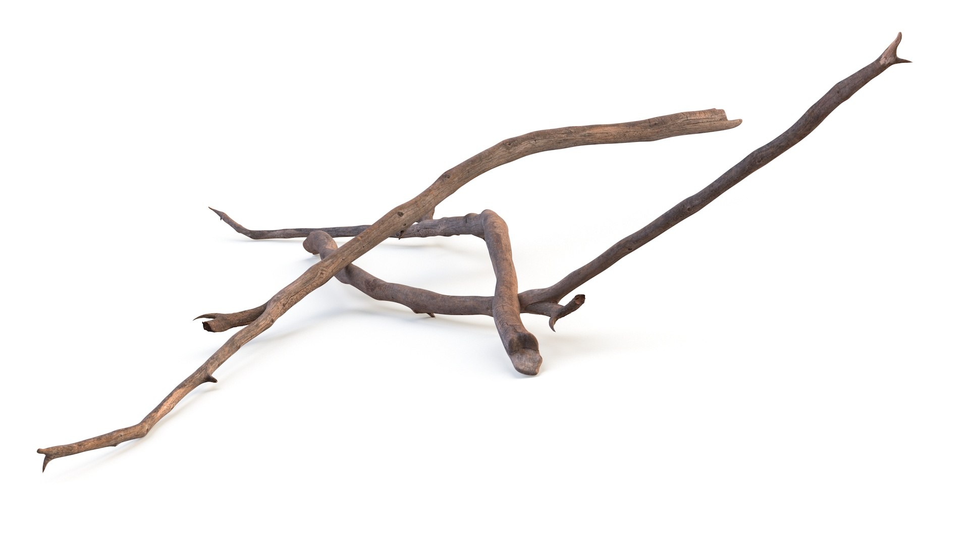 Dry Branch 3D model https://p.turbosquid.com/ts-thumb/gN/IRAt9e/sK/drybranch3dsmodel008/jpg/1724922099/1920x1080/fit_q87/8c210ccd8645de5b96c607513574148e67cdfe77/drybranch3dsmodel008.jpg