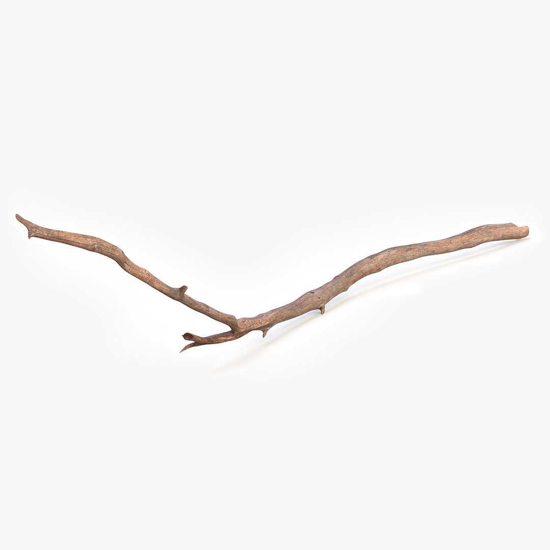 Dry Branch 3D model preview