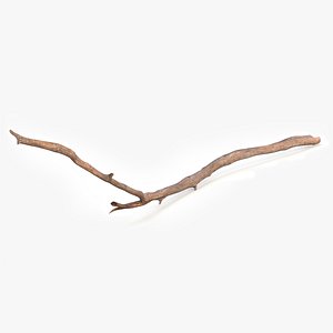 Dry Branch 3D model