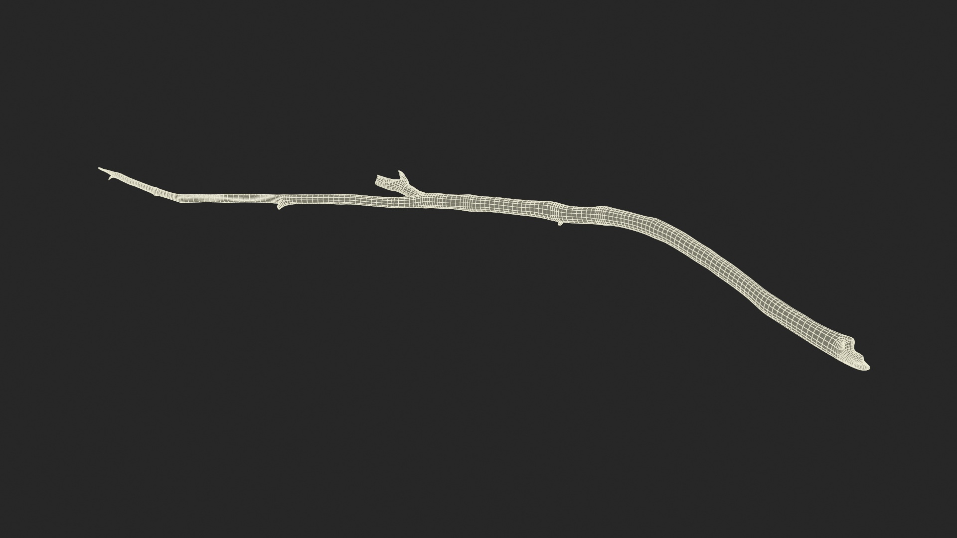 Dry Branch 3D model https://p.turbosquid.com/ts-thumb/gN/IRAt9e/wB/dry_branch_361/jpg/1724921923/1920x1080/turn_fit_q99/340db69f121c614bf85f2af50cbd07c4b463e01d/dry_branch_361-1.jpg