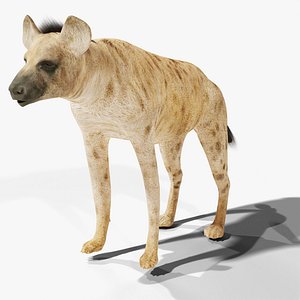 Spotted Hyena - Rigged PBR