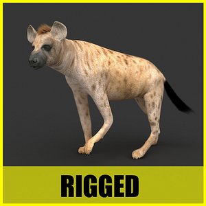 3d hyena rigged animation