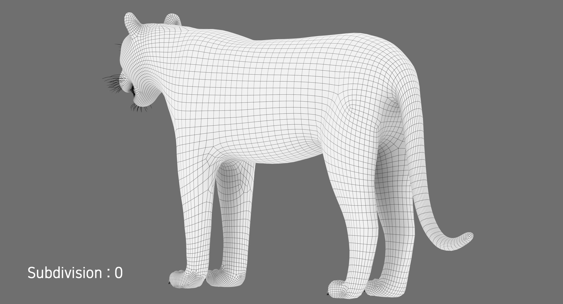 White TigerRigged FUR1 Model - TurboSquid 2250267