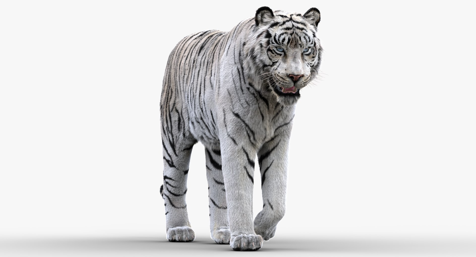 White TigerRigged FUR1 Model - TurboSquid 2250267