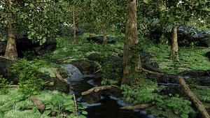 Stream Scene