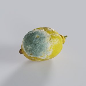 moldy lemon model