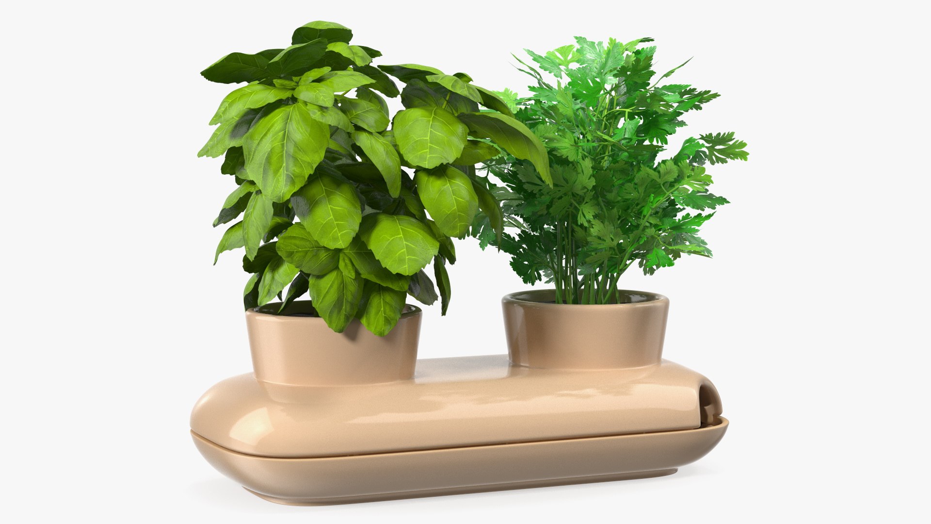 Sagaform Double Pot with Herbs Beige 3D model preview