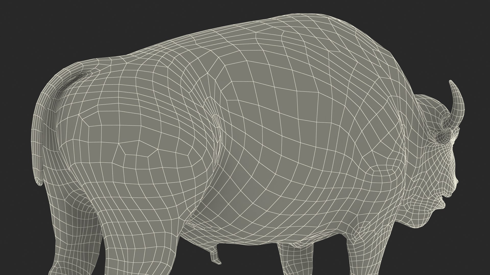 3D American Bison Bull https://p.turbosquid.com/ts-thumb/gO/6r8sKt/4U/americanbisonbull3dmodel030/jpg/1696368529/1920x1080/fit_q87/7c97e66ae5fc21d5adf72990f59ab0c2ed2bee60/americanbisonbull3dmodel030.jpg
