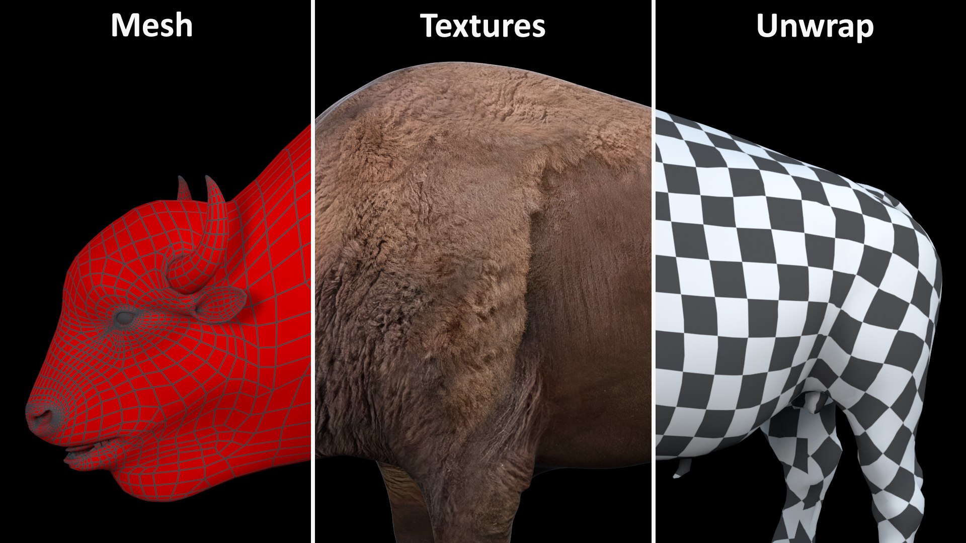 3D American Bison Bull https://p.turbosquid.com/ts-thumb/gO/6r8sKt/Jf/americanbisonbull3dmodel017/jpg/1696368471/1920x1080/fit_q87/0141f209ffe160ad4c20c400e49d4a6e9de5307e/americanbisonbull3dmodel017.jpg