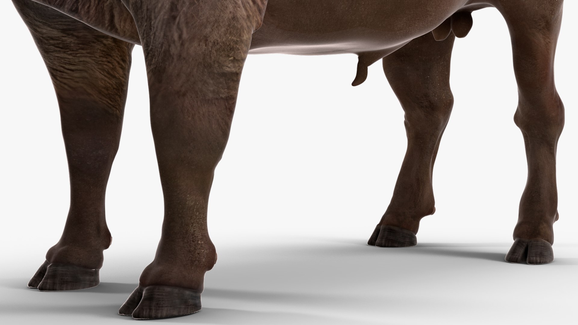 3D American Bison Bull https://p.turbosquid.com/ts-thumb/gO/6r8sKt/YJ/americanbisonbull3dmodel015/jpg/1696368462/1920x1080/fit_q87/928f8a21380344a87a28118e9af5ffe314b3014a/americanbisonbull3dmodel015.jpg