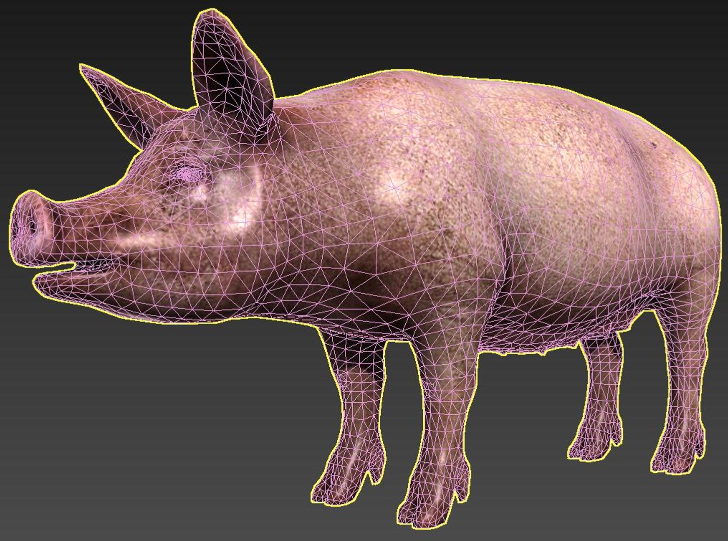 pig 3D https://p.turbosquid.com/ts-thumb/gO/AwEhgd/3XfandU6/5/jpg/1606375658/1920x1080/fit_q87/696634367ca26534f2efa651cded0b2c0fb66878/5.jpg