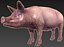 Cerdo