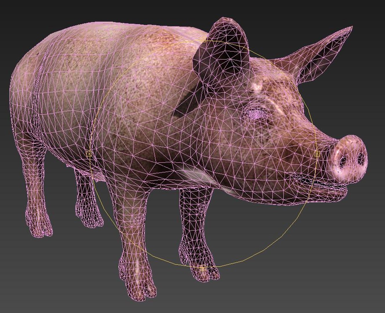 pig 3D https://p.turbosquid.com/ts-thumb/gO/AwEhgd/84PASJqW/6/jpg/1606375654/1920x1080/fit_q87/06325497da6dac368866a179be1f8275b81f01c3/6.jpg