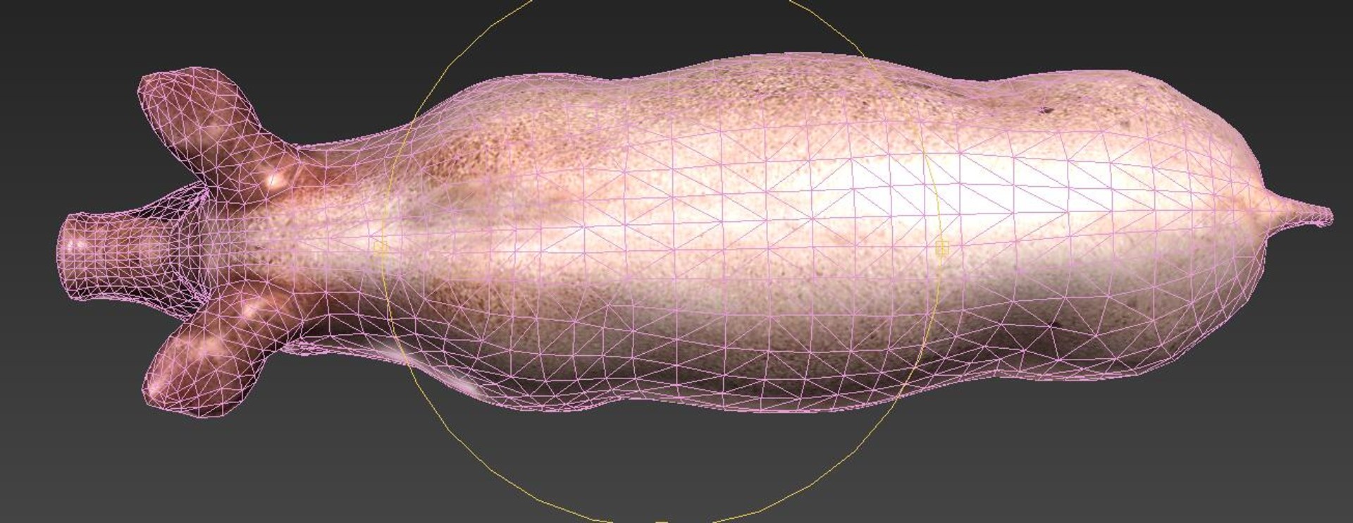 pig 3D https://p.turbosquid.com/ts-thumb/gO/AwEhgd/oc856vD3/8/jpg/1606375664/1920x1080/fit_q87/9cdbe6967b047605cb296aadab80b3b15d63f872/8.jpg