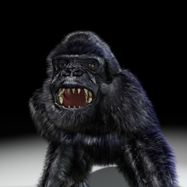 Gorilla 3D Models For Download | TurboSquid