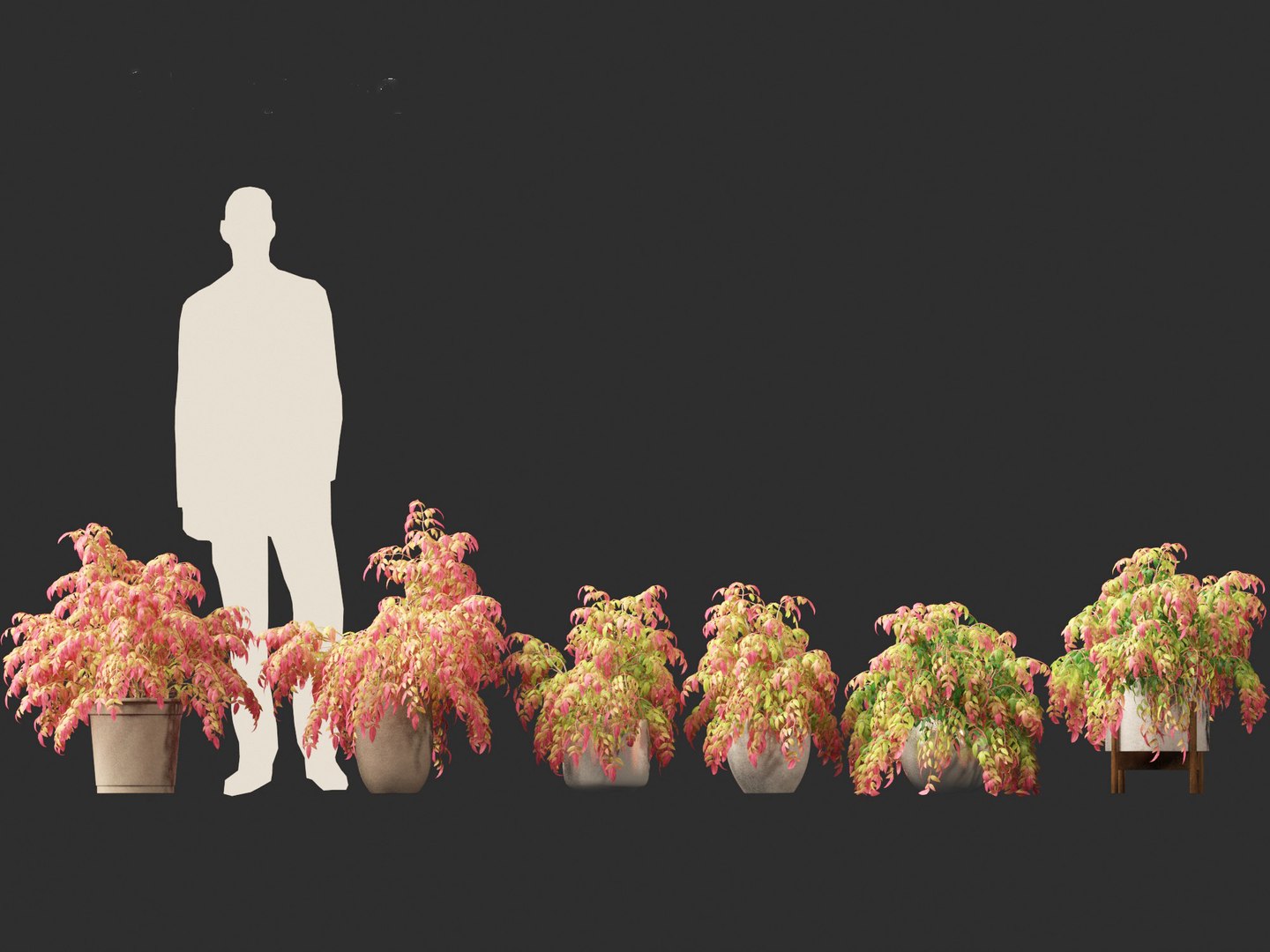 3D Nandina pygmaea - Dwarf sacred bamboo 02 https://p.turbosquid.com/ts-thumb/gO/FrbNQA/yZ/nandinapygmaea022/jpg/1693653422/1920x1080/fit_q87/e0c70a2e7775c41518f45dc886f2a012f6244e6d/nandinapygmaea022.jpg