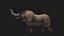 yak animato