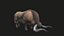 yak animato