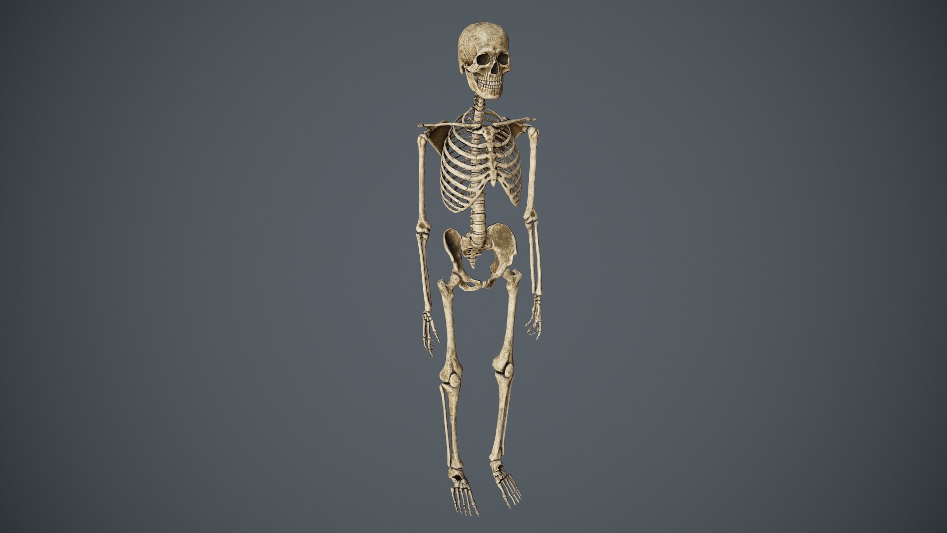 Traveller skeletons bags 3D - TurboSquid 1375456