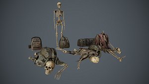 traveller skeletons bags 3D