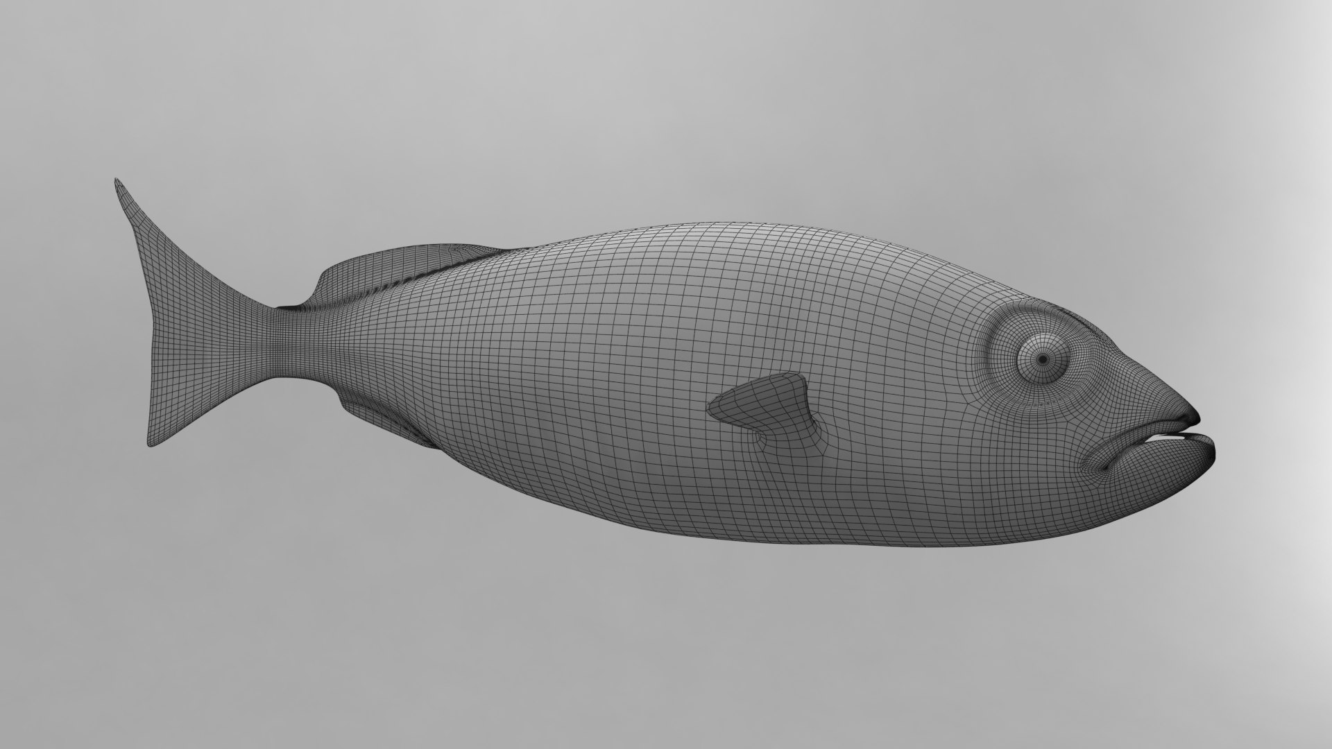 Fish Max Free