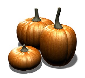 3d model pumpkins
