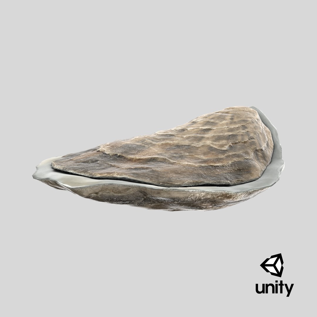Closed Sea Oyster 3D model https://p.turbosquid.com/ts-thumb/gO/mnBjFd/7s/stemcell_unity_render/png/1723715054/1920x1080/fit_q87/0b951d33039e00310a46ac937f05484ce95aeed4/stemcell_unity_render.jpg
