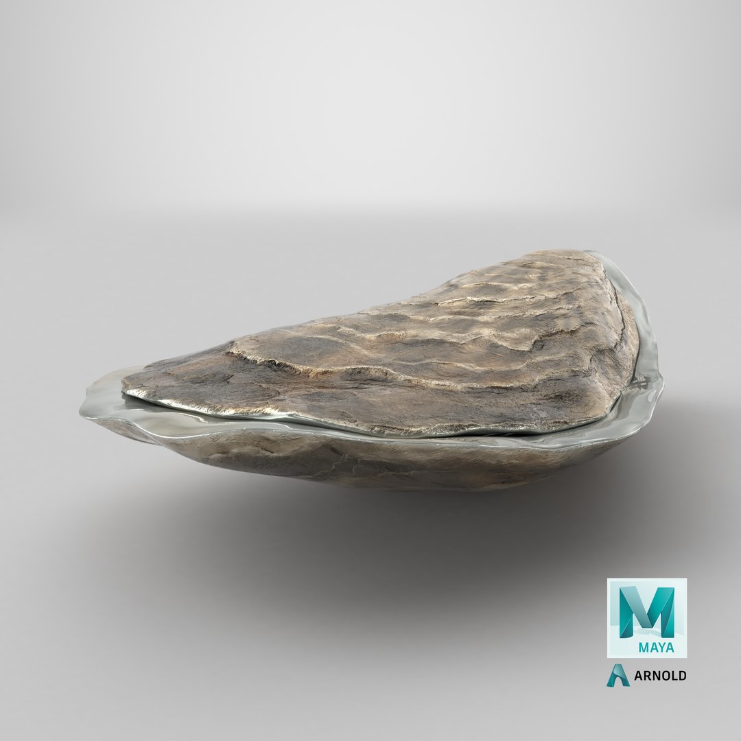 Closed Sea Oyster 3D model https://p.turbosquid.com/ts-thumb/gO/mnBjFd/Cn/stemcell_maya_arnold_render/png/1723715043/1920x1080/fit_q87/b518e0d158c7a28db7a3bfb35f71a04daf750786/stemcell_maya_arnold_render.jpg