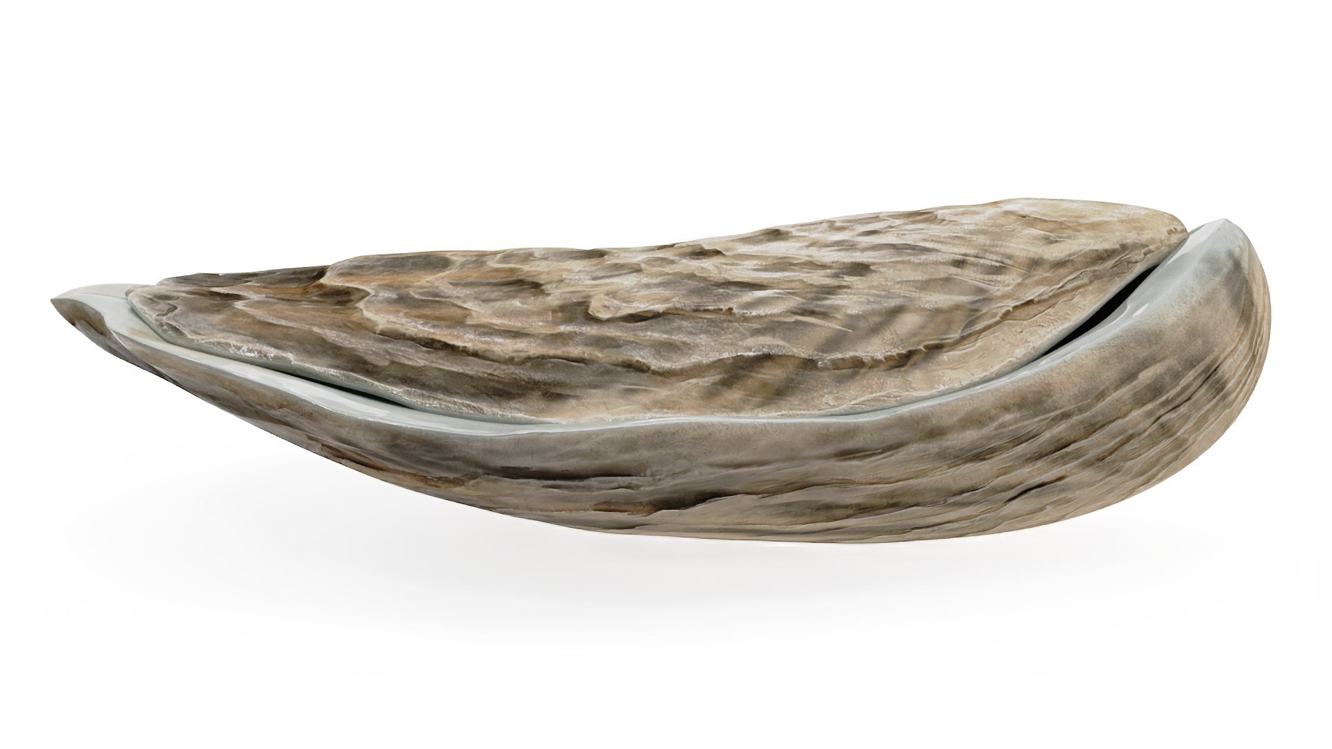 Closed Sea Oyster 3D model https://p.turbosquid.com/ts-thumb/gO/mnBjFd/Rx/closedseaoyster3dsmodel010/jpg/1722535478/1920x1080/fit_q87/0bd183c7b6b37fac65ab01b1f03cb5c75b1ddcaa/closedseaoyster3dsmodel010.jpg