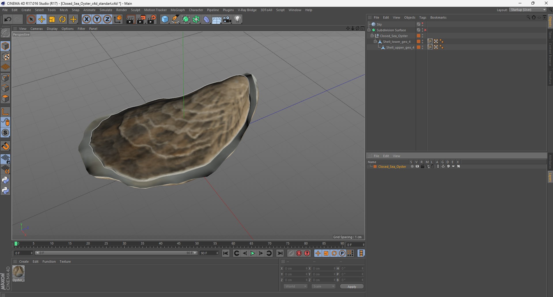 Closed Sea Oyster 3D model https://p.turbosquid.com/ts-thumb/gO/mnBjFd/Xu/closedseaoyster3dsmodel029/jpg/1722535550/1920x1080/fit_q87/f8b596f575bcf6d868448c69dff7ec7033f0f93f/closedseaoyster3dsmodel029.jpg