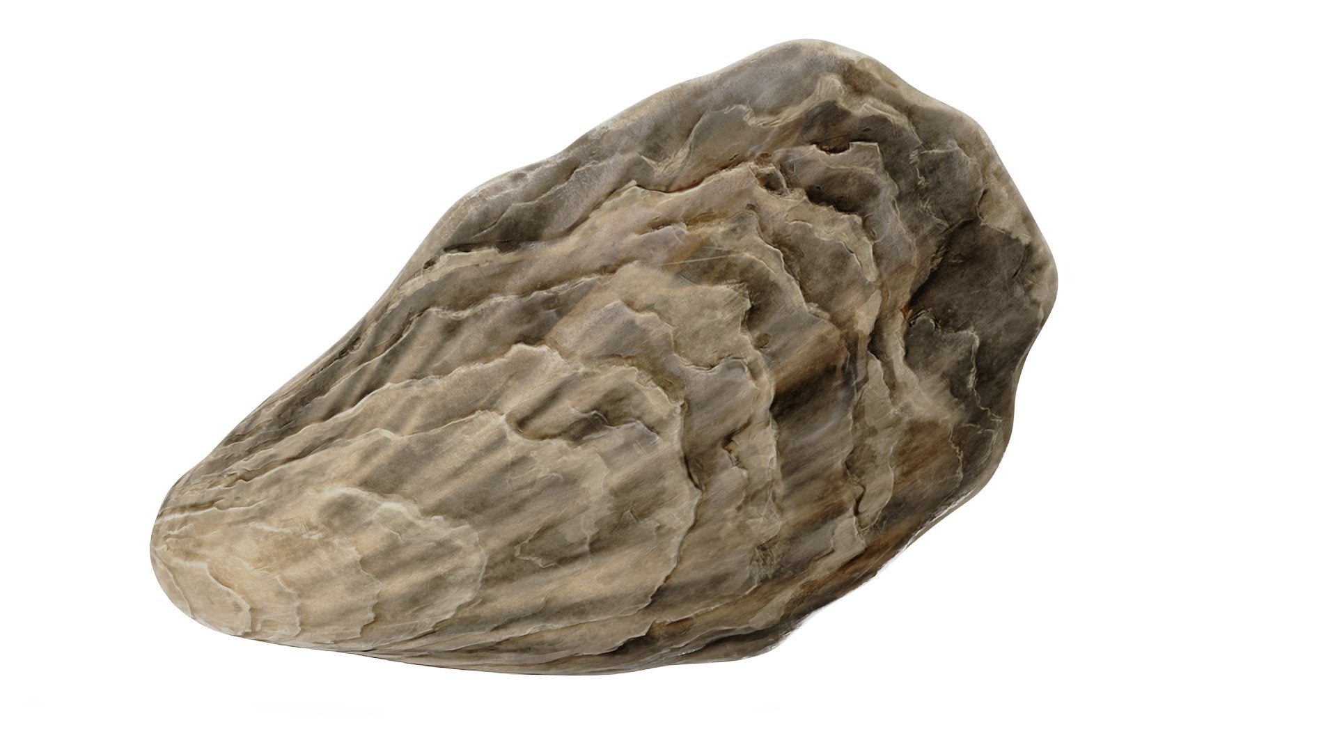 Closed Sea Oyster 3D model https://p.turbosquid.com/ts-thumb/gO/mnBjFd/rr/closedseaoyster3dsmodel013/jpg/1722535489/1920x1080/fit_q87/bf2ae828945a54128c2cd6e3afa335ca562e4145/closedseaoyster3dsmodel013.jpg