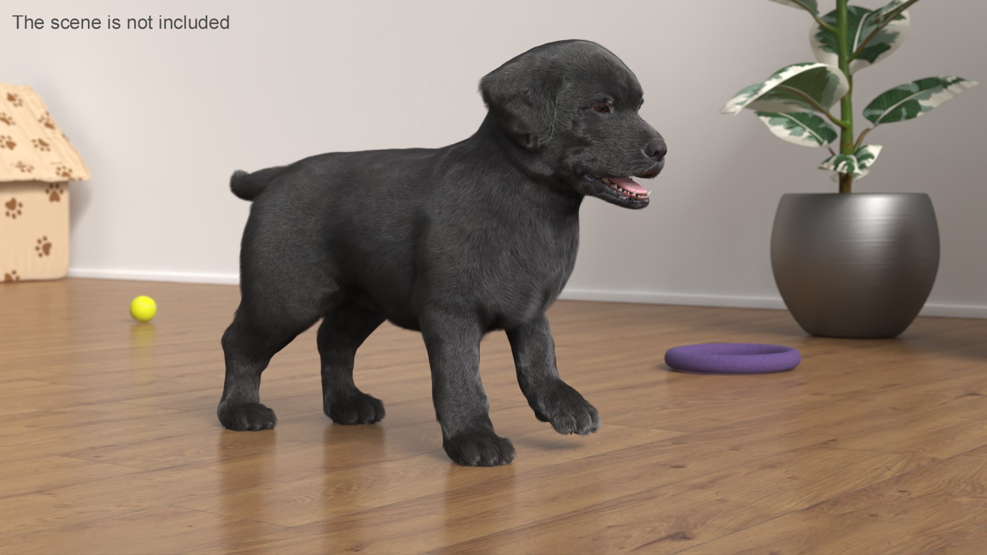 3D Labrador Puppy Leisurely Walk Fur Animated Rigged https://p.turbosquid.com/ts-thumb/gO/upFS6j/EN/labrador_puppy_leisurely_walk_fur_animated_rigged_004/jpg/1749245971/1920x1080/fit_q87/7e70aa6d50c6ab5189d84b77db244f71611df4b4/labrador_puppy_leisurely_walk_fur_animated_rigged_004.jpg