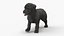 Labrador Puppy Leisurely Walk Fur Animated Rigged