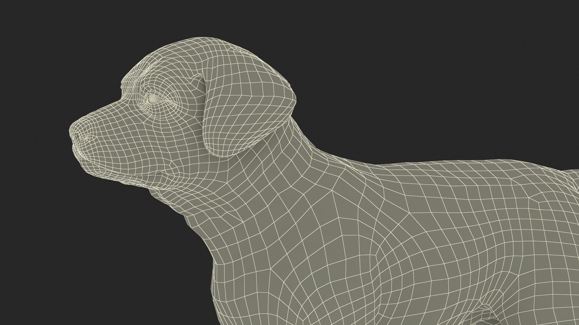 3D Labrador Puppy Leisurely Walk Fur Animated Rigged https://p.turbosquid.com/ts-thumb/gO/upFS6j/R9/labrador_puppy_leisurely_walk_fur_animated_rigged_016/jpg/1749246015/1920x1080/fit_q87/d6051420356ec1de9a6a56b1a9535c8b842743ef/labrador_puppy_leisurely_walk_fur_animated_rigged_016.jpg