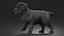 Labrador Puppy Leisurely Walk Fur Animated Rigged