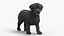 Labrador Puppy Leisurely Walk Fur Animated Rigged