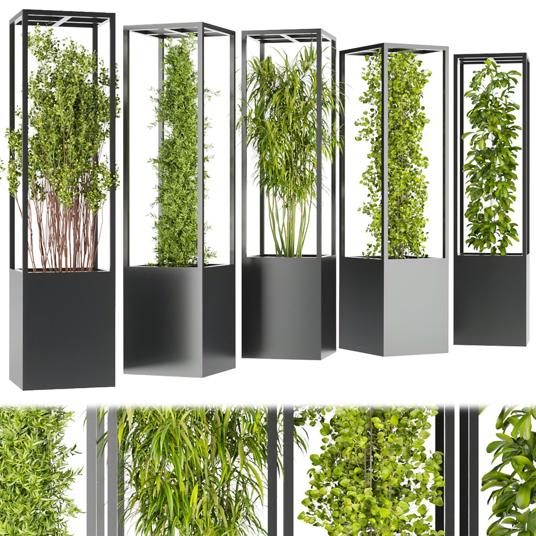 3D Collection plant vol 237 - 3dmoel - leaf - bark https://p.turbosquid.com/ts-thumb/gP/1myMWj/MX/2/jpg/1651080241/1920x1080/fit_q87/065b897223f6113e3f476d25713caeefdce37cdc/2.jpg