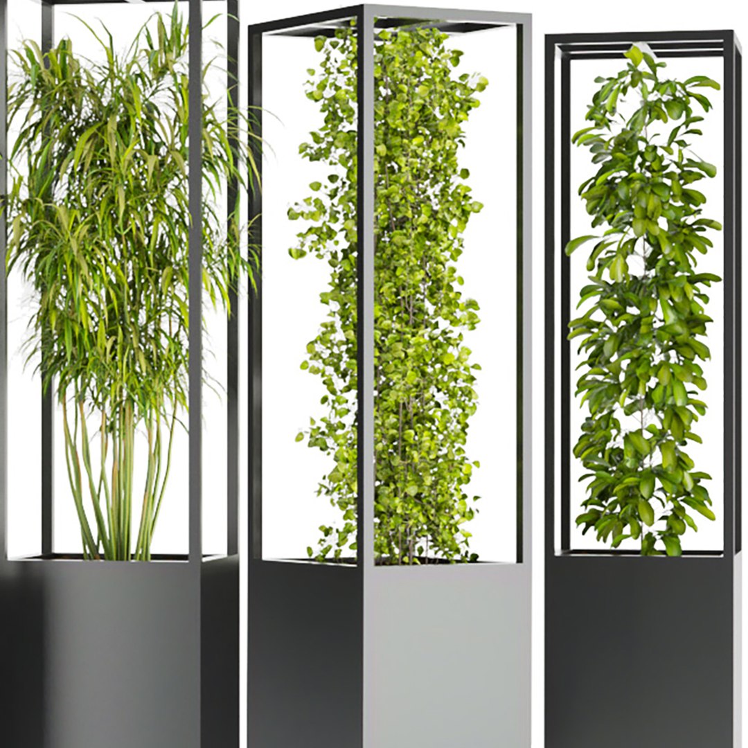 3D Collection plant vol 237 - 3dmoel - leaf - bark https://p.turbosquid.com/ts-thumb/gP/1myMWj/kP/5/jpg/1651080229/1920x1080/fit_q87/805611bb09ce1068176e9890f25684878e629dab/5.jpg