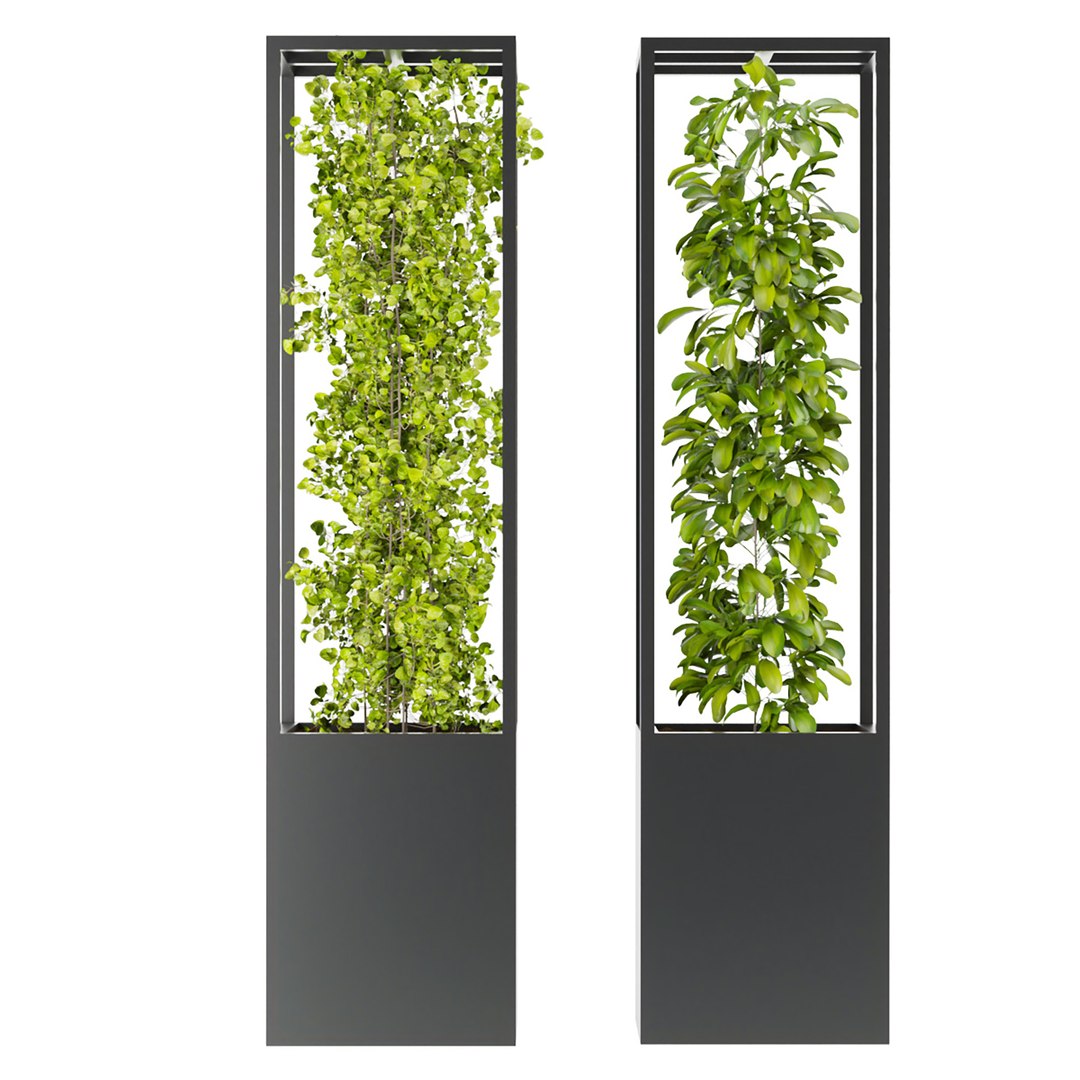 3D Collection plant vol 237 - 3dmoel - leaf - bark https://p.turbosquid.com/ts-thumb/gP/1myMWj/li/4/jpg/1651080193/1920x1080/fit_q87/c4b608c96cc61a39915c805157806e014f8e7384/4.jpg