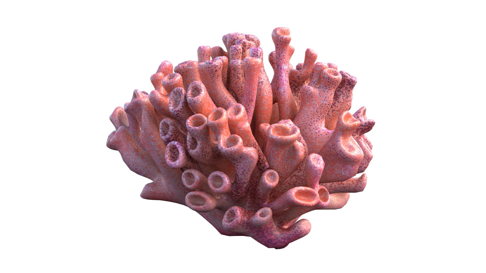 Coral reef 06 3D model https://p.turbosquid.com/ts-thumb/gP/3YVT2R/Kd/3/jpg/1756739575/1920x1080/fit_q87/afc59342bf9de0ab8ce6de6efbaa7f65040c8b43/3.jpg