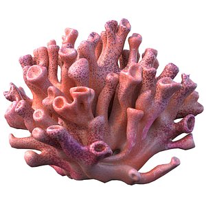Coral reef 06 3D model