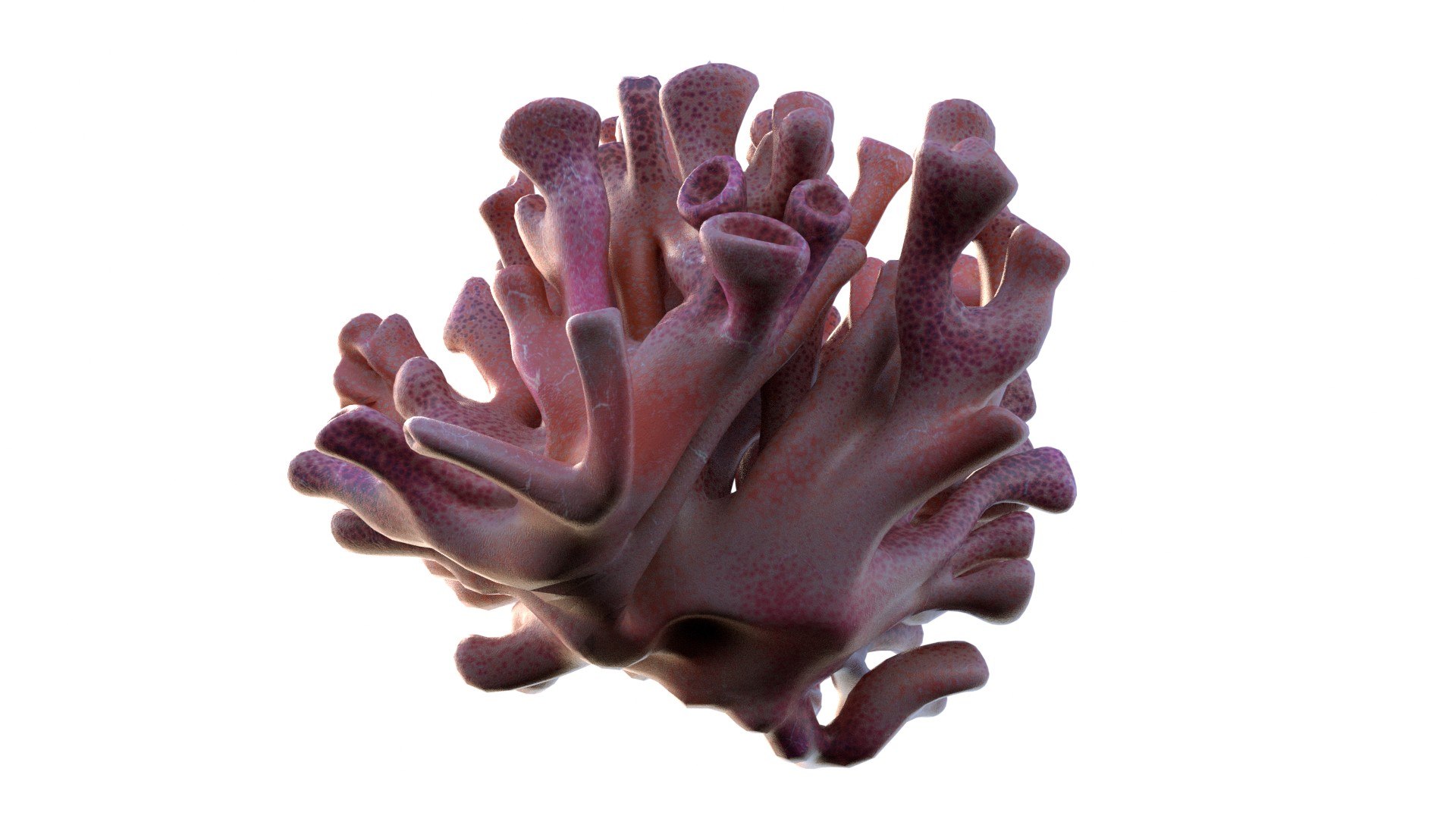 Coral reef 06 3D model https://p.turbosquid.com/ts-thumb/gP/3YVT2R/XQ/5/jpg/1756739576/1920x1080/fit_q87/214217ac4c6c569c7136fe7ba2c7a990b9613a34/5.jpg