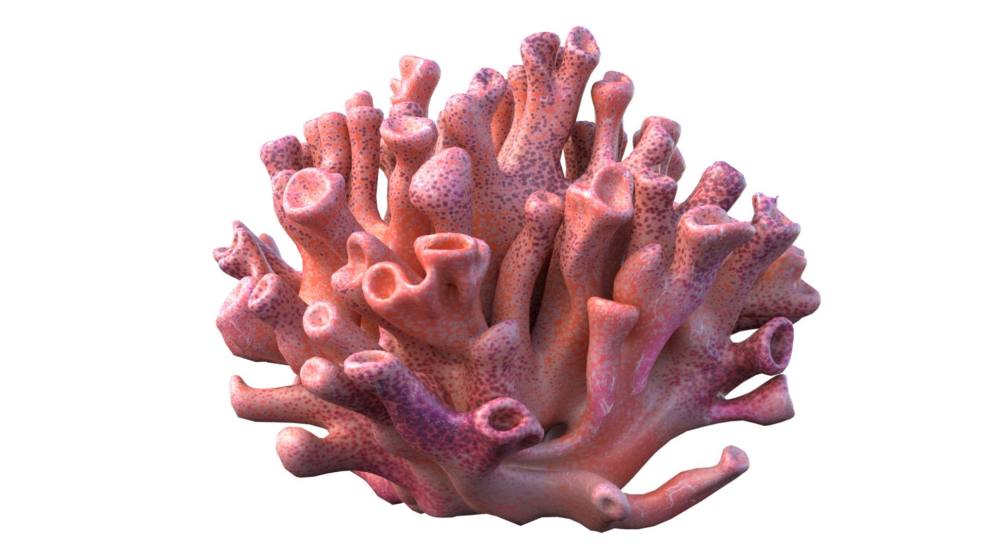 Coral reef 06 3D model https://p.turbosquid.com/ts-thumb/gP/3YVT2R/re/1/jpg/1756739574/1920x1080/fit_q87/db6328fa6f96ab59cea05fda3bce7671ee97603b/1.jpg