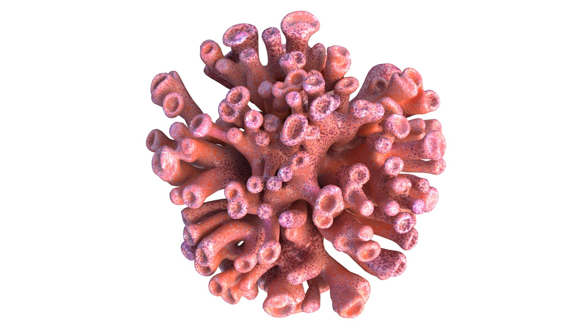 Coral reef 06 3D model https://p.turbosquid.com/ts-thumb/gP/3YVT2R/ug/4/jpg/1756739576/1920x1080/fit_q87/a77cae6fabb3360edefa6d63ec5480e5416eabac/4.jpg