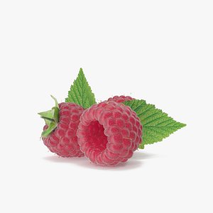 Realistic Raspberry 3D model
