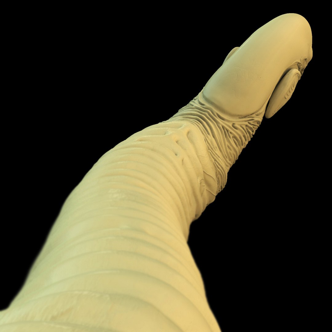 3d chestburster alien model https://p.turbosquid.com/ts-thumb/gP/IQog8T/q2TcF4Y8/3/jpg/1417463220/1920x1080/fit_q87/0402a7c0b967b794629ca696a0062a3a42be82fa/3.jpg