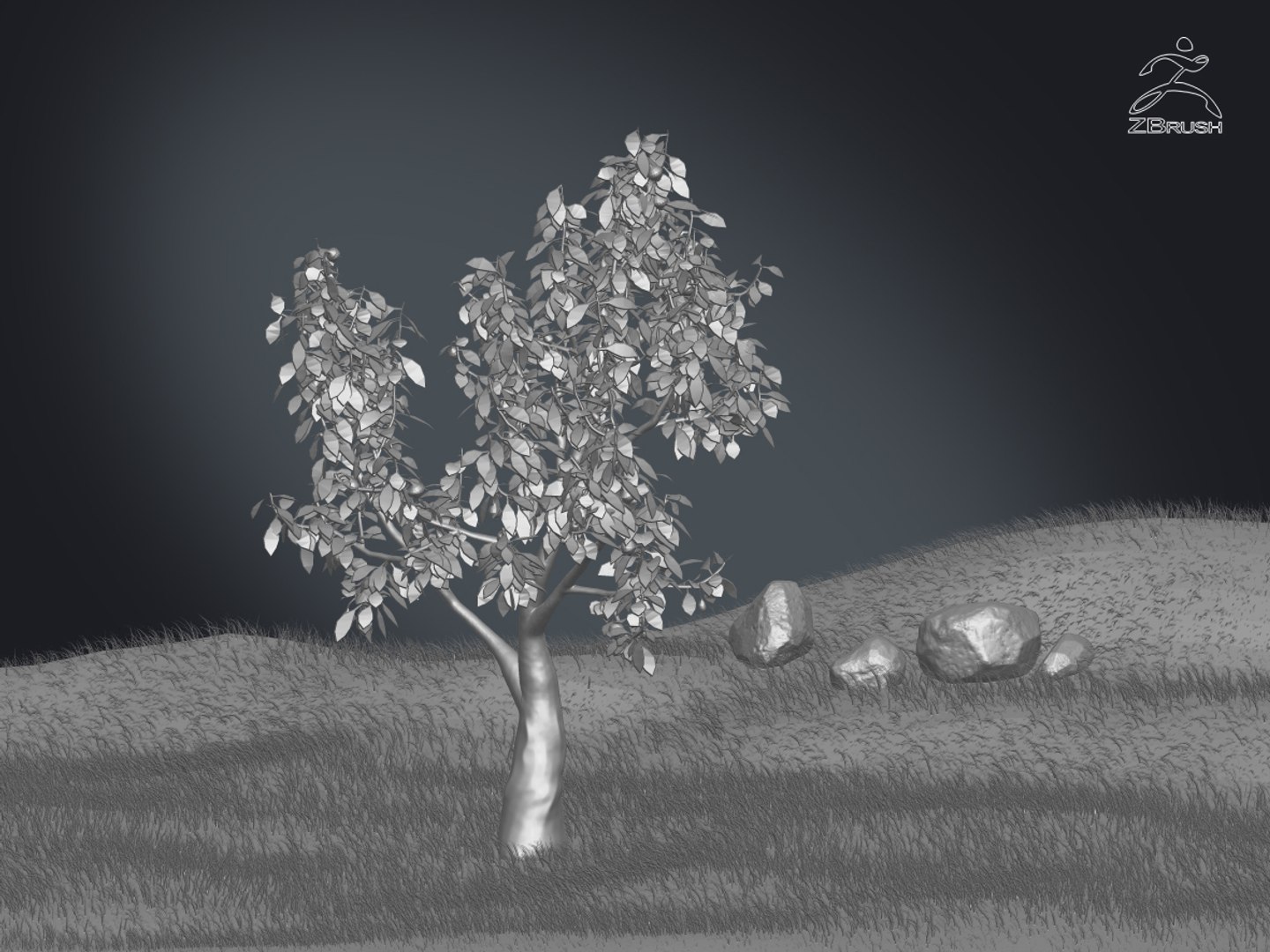 3D zbrush grass https://p.turbosquid.com/ts-thumb/gP/PFzx6m/7IgXRPME/03/jpg/1492682333/1920x1080/fit_q87/aa550057de1dcd8b168f80d8a0e9ea5658d841b7/03.jpg