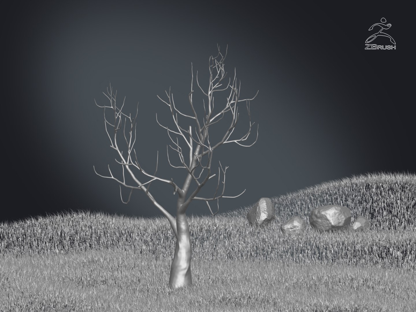 3D zbrush grass https://p.turbosquid.com/ts-thumb/gP/PFzx6m/90lkkmLL/13/jpg/1492682333/1920x1080/fit_q87/e867ce06c5d1d2d16524eeb5a49b056075589f48/13.jpg